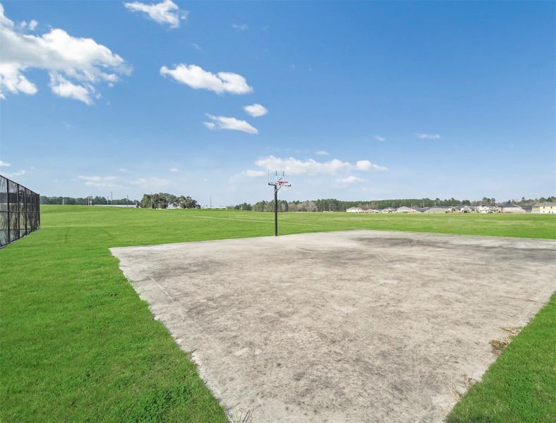 Natural landscape and outdoor views near Waterstone on Lake Conroe in Montgomery (Image 29). Natural landscape and outdoor views near Waterstone on Lake Conroe in Montgomery (Image 29).