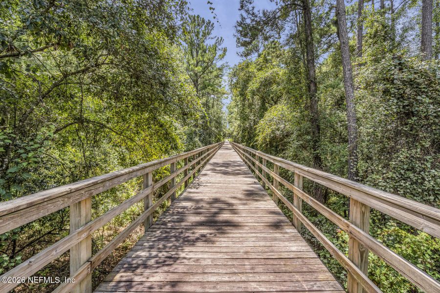 Natural landscape and outdoor views near Rolling Hills in Green Cove Springs (Image 50).