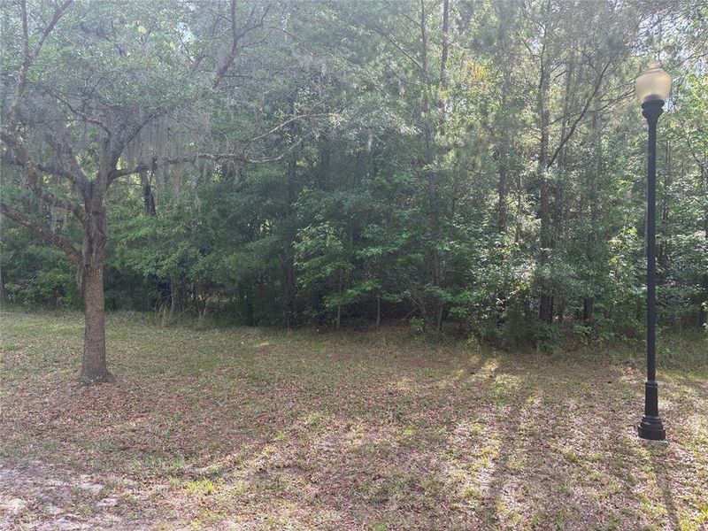 Natural landscape and outdoor views near  in Gainesville (Image 4).