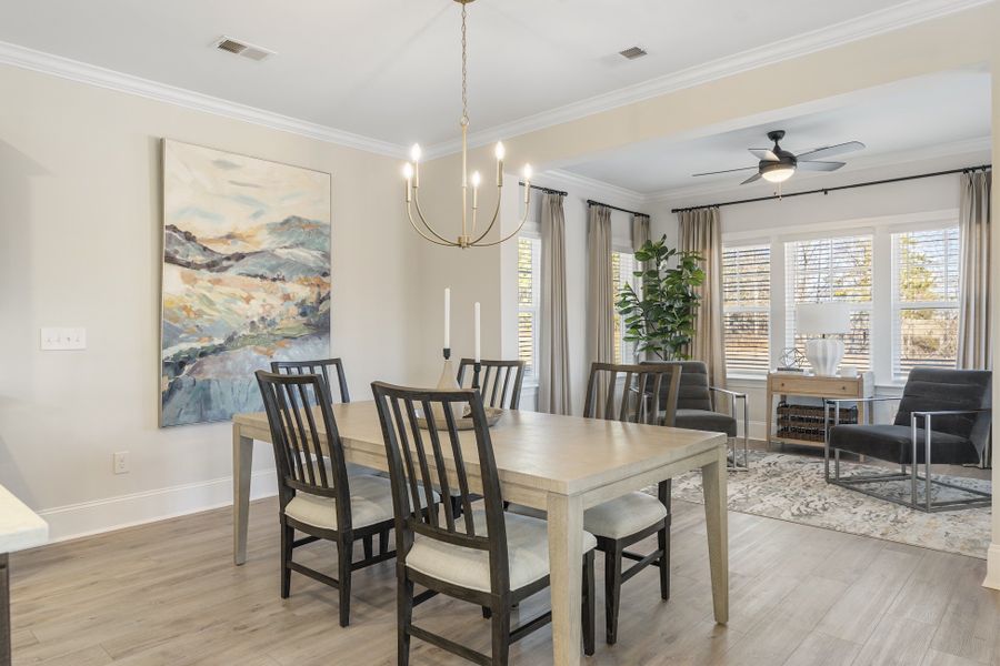 Representative furnished interior of a home built from the Webster - Vanguard Collection by Mungo Homes in Parris Meadows, Chesnee (Image 6).
