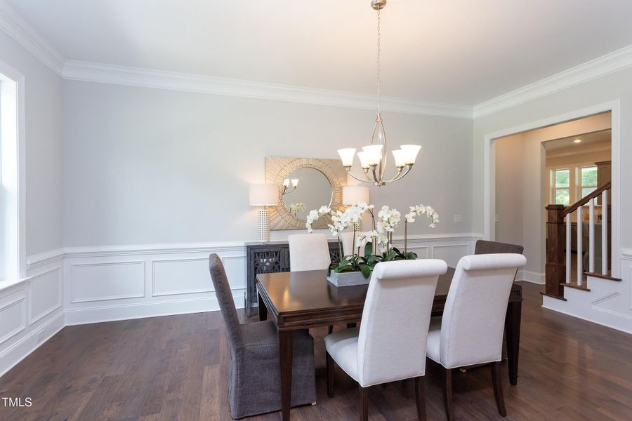 Avenel - MEA 003 - IMG_7990 Avenel - MEA 003 - IMG_7990