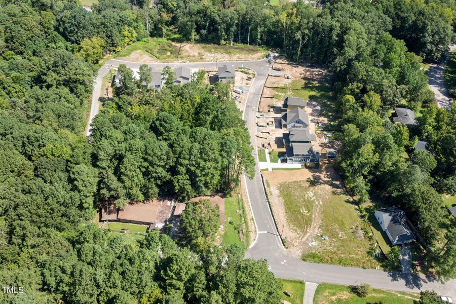 3-web-or-mls-DJI_0437