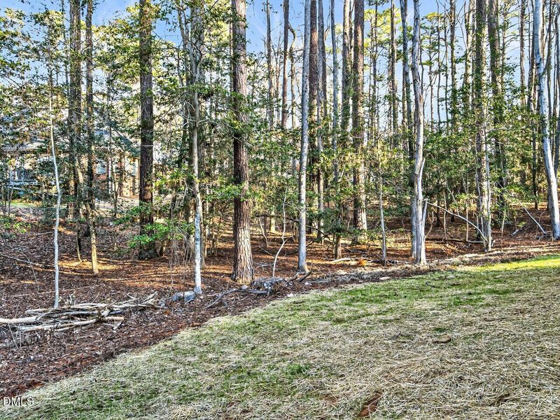 026-1280x960-back-yard