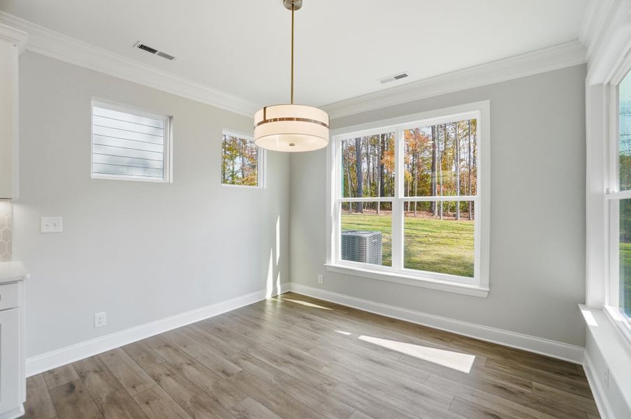 Spacious, unfurnished interior of a new home in Rone Creek, Waxhaw (Image 49).
