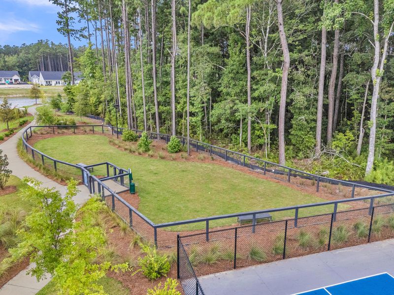 Community amenities in , Summerville (Image 34). Community amenities in , Summerville (Image 34).