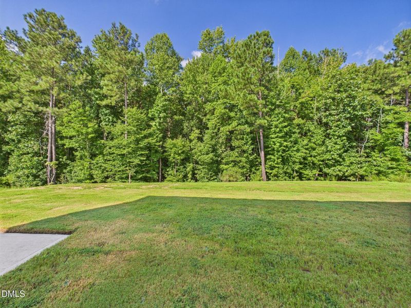 CAM01608G0-PR0104-STILL010