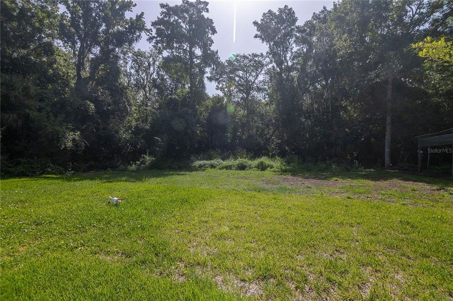 Natural landscape and outdoor views near in East Palatka (Image 39). Natural landscape and outdoor views near in East Palatka (Image 39).