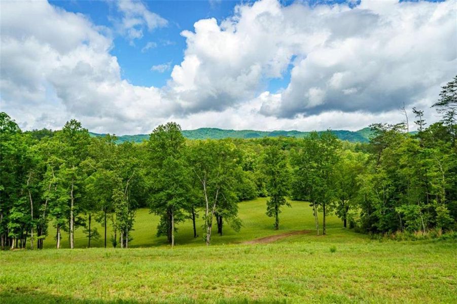Natural landscape and outdoor views near in Blue Ridge (Image 48). Natural landscape and outdoor views near in Blue Ridge (Image 48).