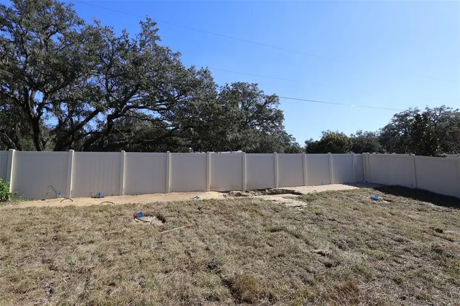 Exterior details and patio area of a home in Emerson Pointe, Apopka (Image 11).
