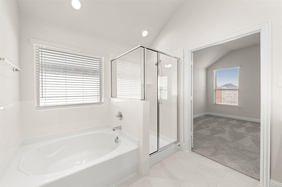 22. 3017 Rembrandt - Bath (3)