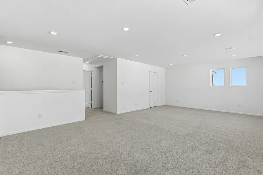 615 Yaupon Holly ~ Ready Now 615 Yaupon Holly ~ Ready Now