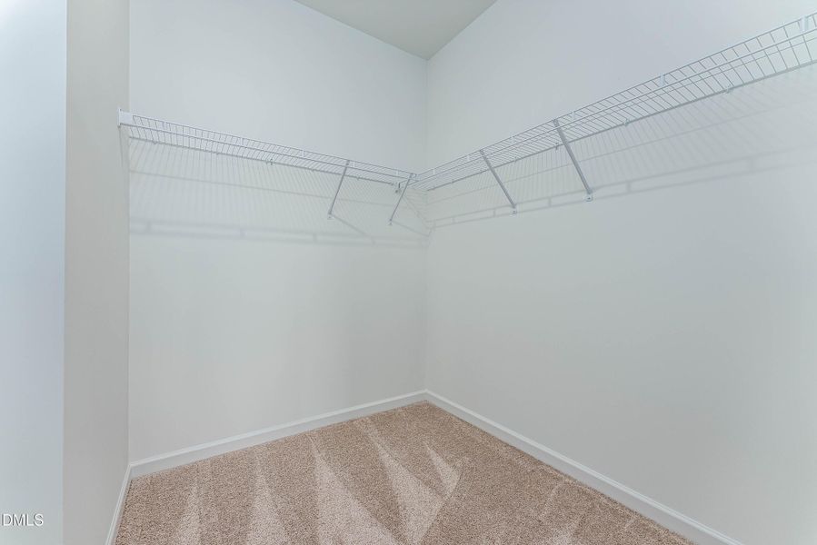 Representational Photo