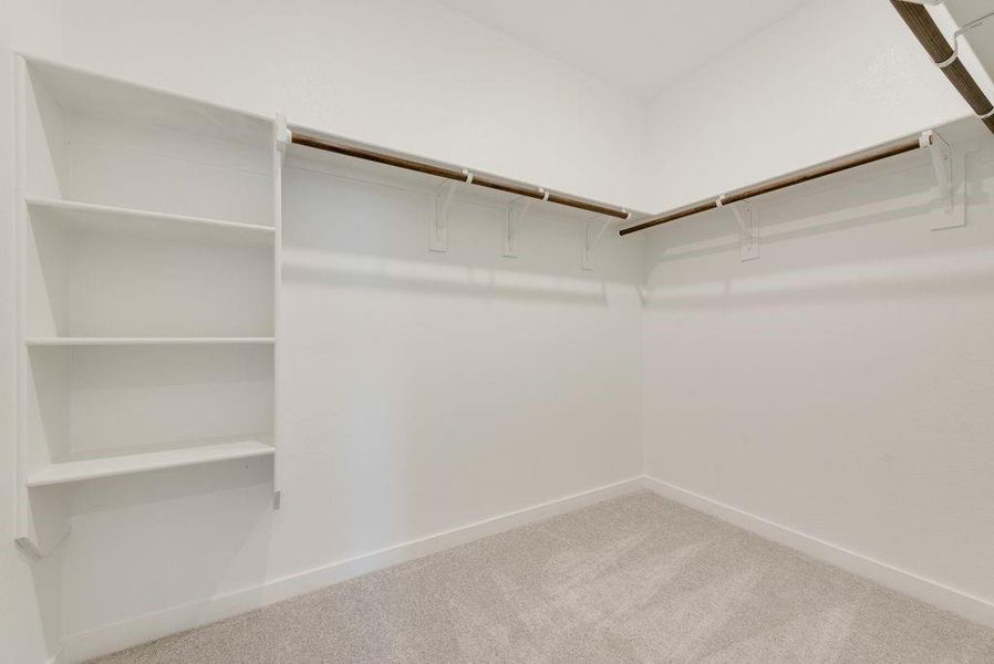 Walk in closet featuring carpet floors