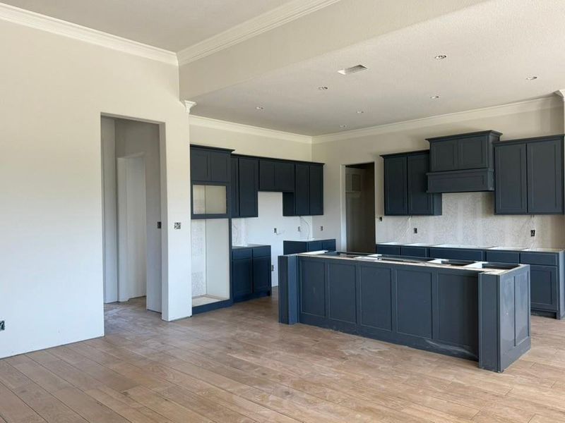 Kitchen with light wood finished floors, a center island, ornamental molding, and dark cabinets