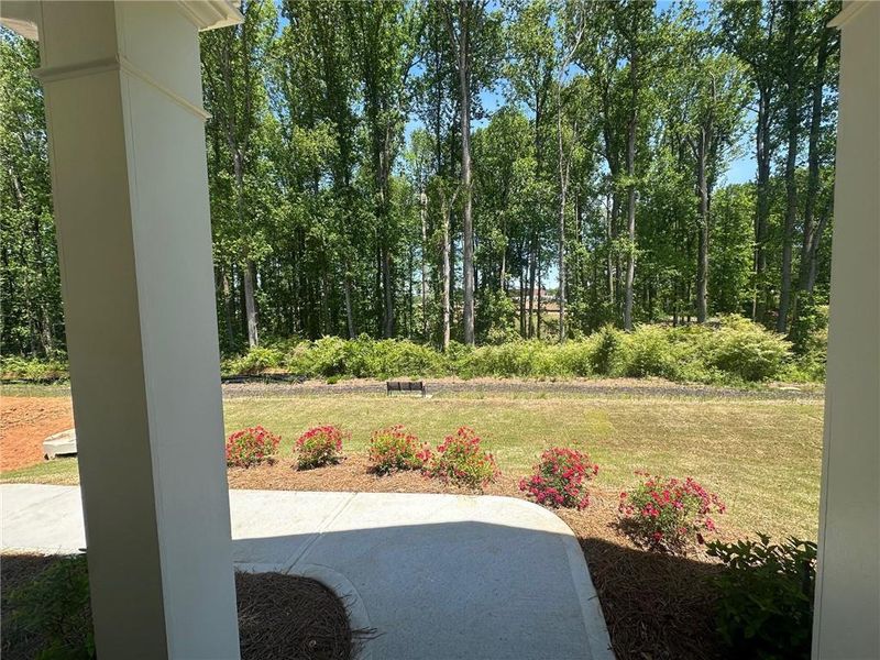 Exterior details and patio area of a home in , Cumming (Image 3).