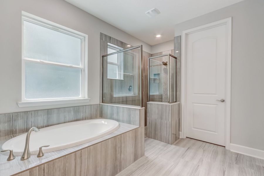 SEDA Venice SEDA Venice