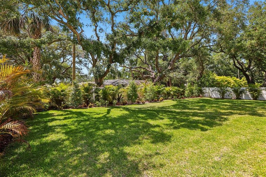 Natural landscape and outdoor views near  in Tampa (Image 93).