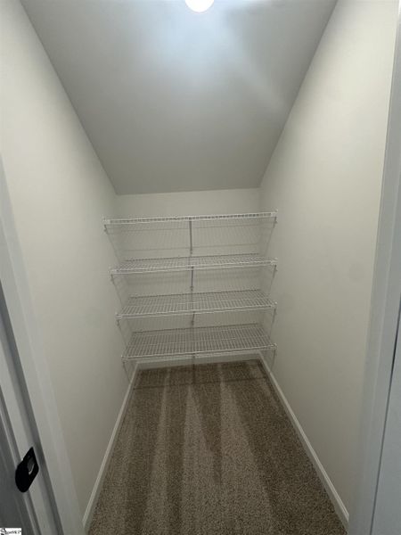 Spacious, unfurnished interior of a new home in Shiloh Trail, Wellford (Image 38).