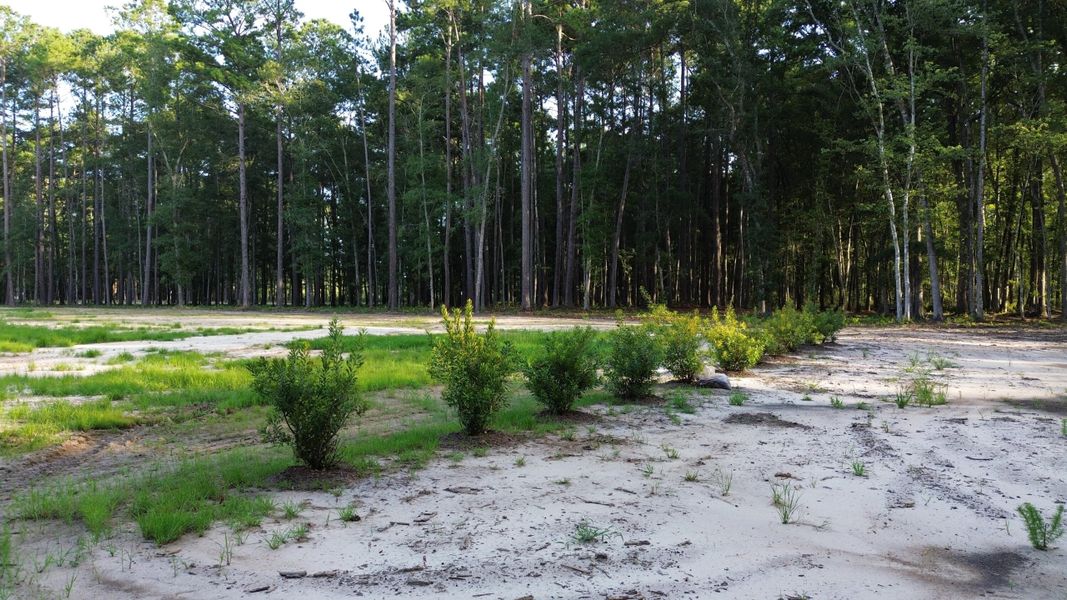 Natural landscape and outdoor views near in Ridgeville (Image 26). Natural landscape and outdoor views near in Ridgeville (Image 26).