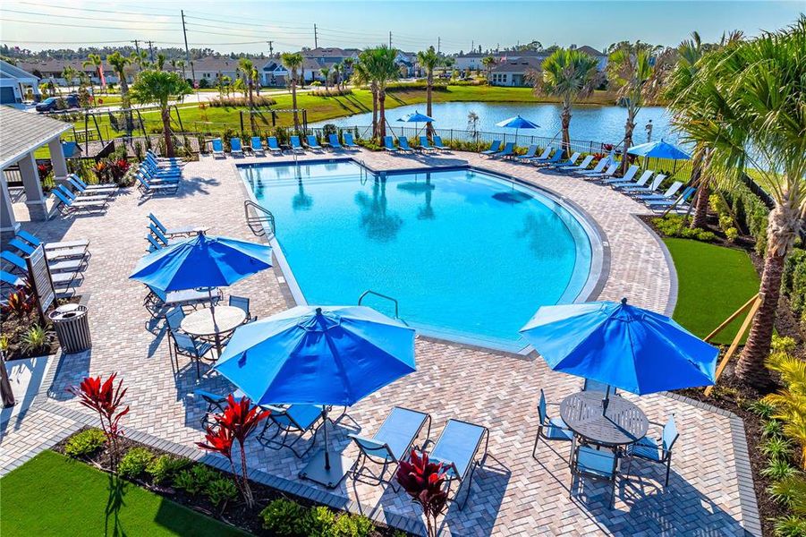 Community amenities in Indigo Creek, Apollo Beach (Image 19). Community amenities in Indigo Creek, Apollo Beach (Image 19).