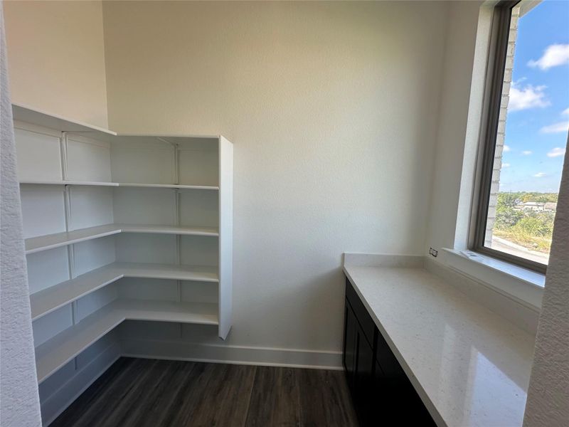 Pantry & Butler's Pantry