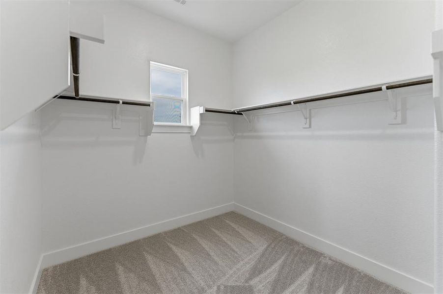 Walk-in closet featuring light gray patterned carpet flooring, white walls, and a single window for natural illumination