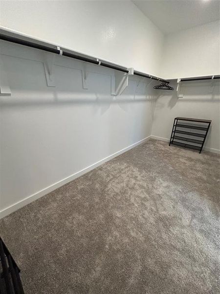 Walk in closet featuring carpet floors Walk in closet featuring carpet floors