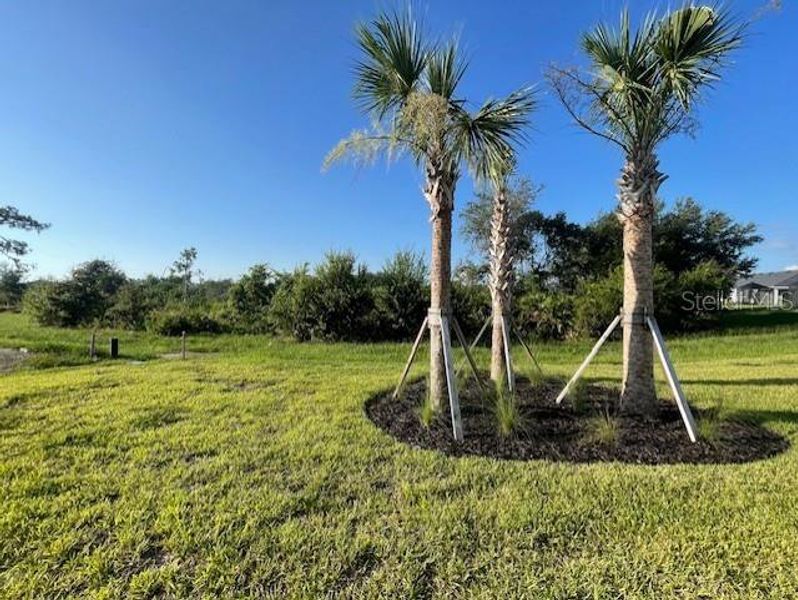 Natural landscape and outdoor views near Del Webb Catalina in Lakewood Ranch (Image 4).