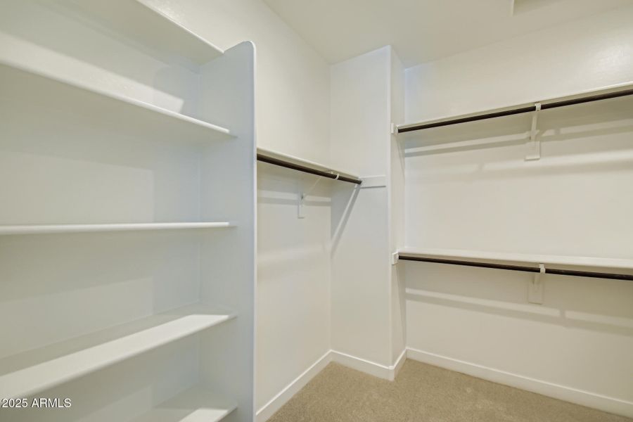 Owners Walk in Closet