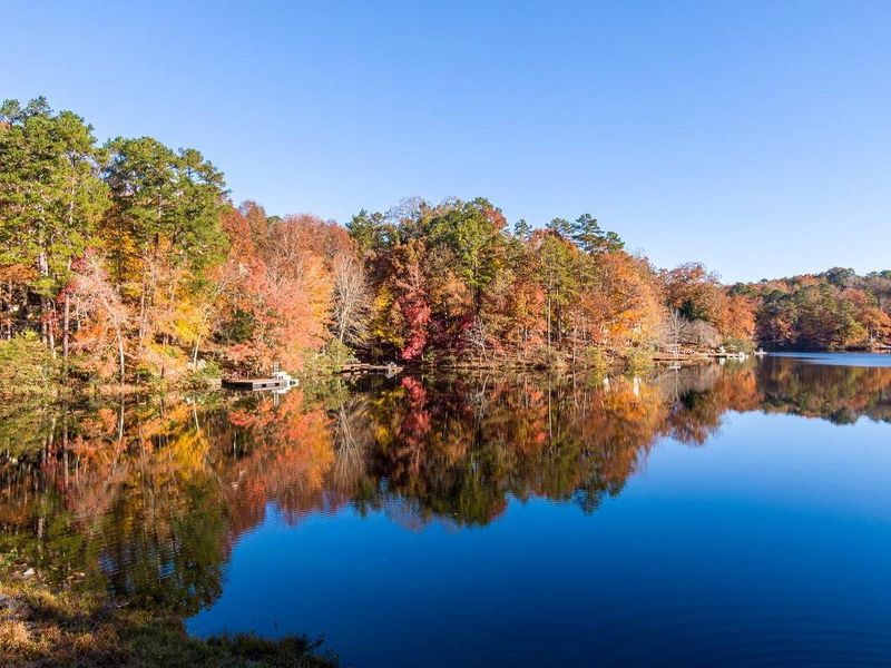 Natural landscape and outdoor views near  in Waleska (Image 20).