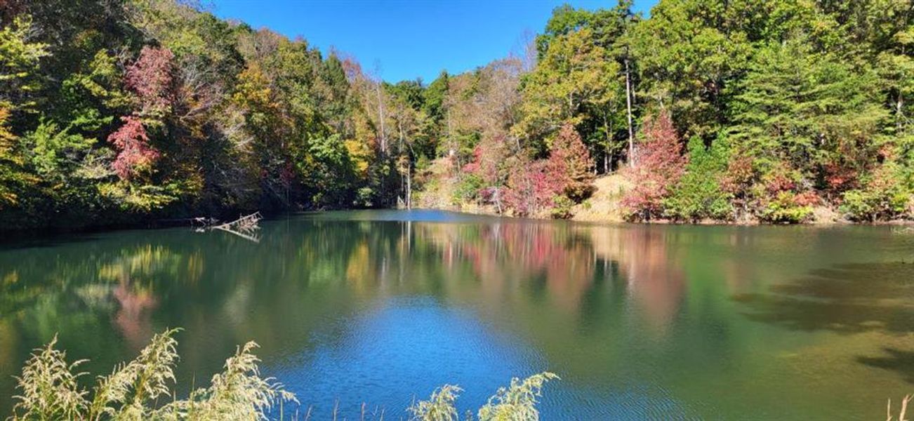 Natural landscape and outdoor views near in Ellijay (Image 37). Natural landscape and outdoor views near in Ellijay (Image 37).