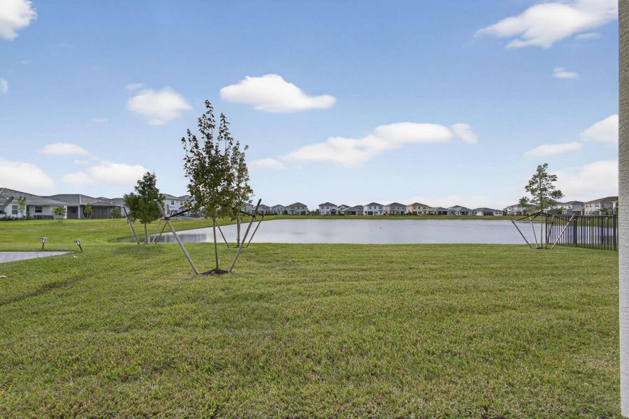 Natural landscape and outdoor views near  in Westlake (Image 50).