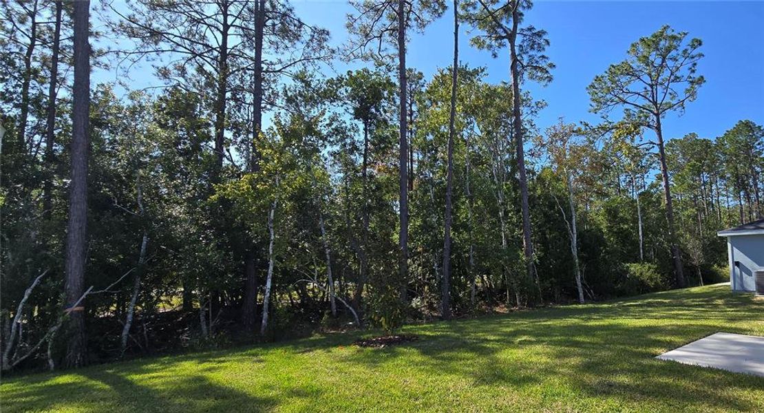 Natural landscape and outdoor views near Flagler Village - Classic Series in Palm Coast (Image 33).