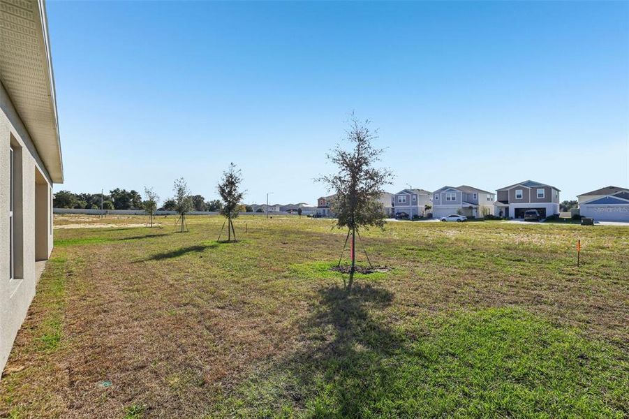Exterior details and patio area of a home in The Collection at Bradbury Creek, Haines City (Image 3).