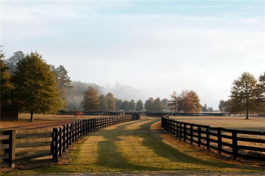 Natural landscape and outdoor views near Foxhall Residences in Douglasville (Image 41).