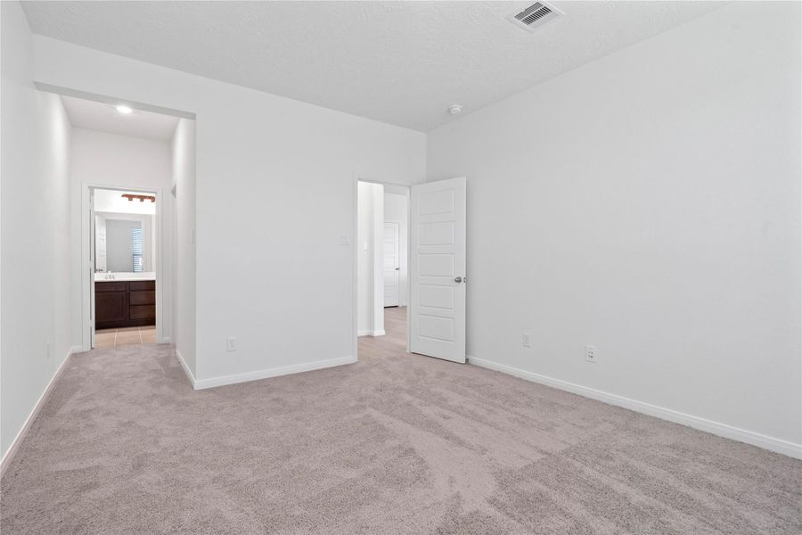 Additional view from the primary bedroom looking to the hallway into walk-in closet and primary bathroom.