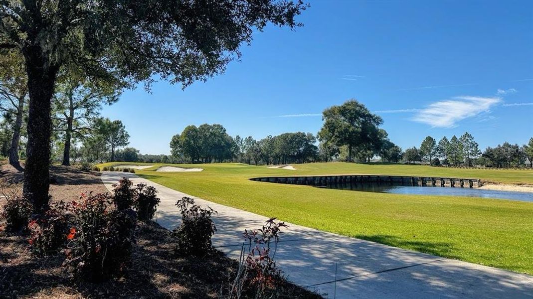 Natural landscape and outdoor views near  in Ocala (Image 47).