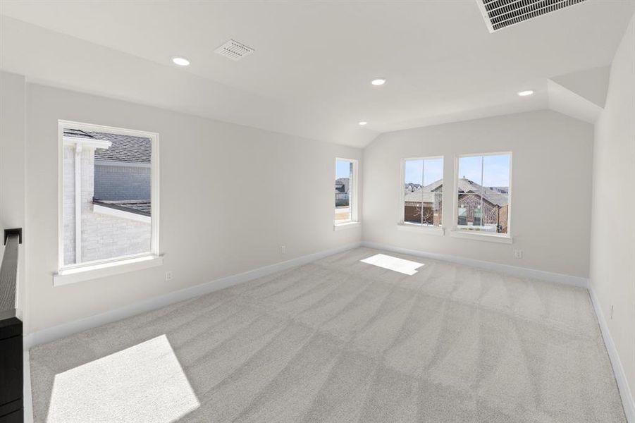 19. 7204 Indian Paintbrush - Game