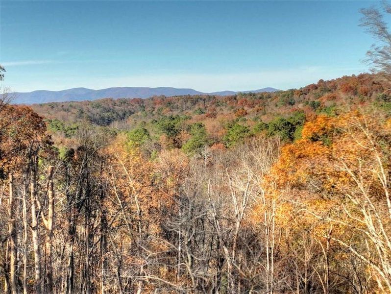 Natural landscape and outdoor views near  in Ellijay (Image 36).