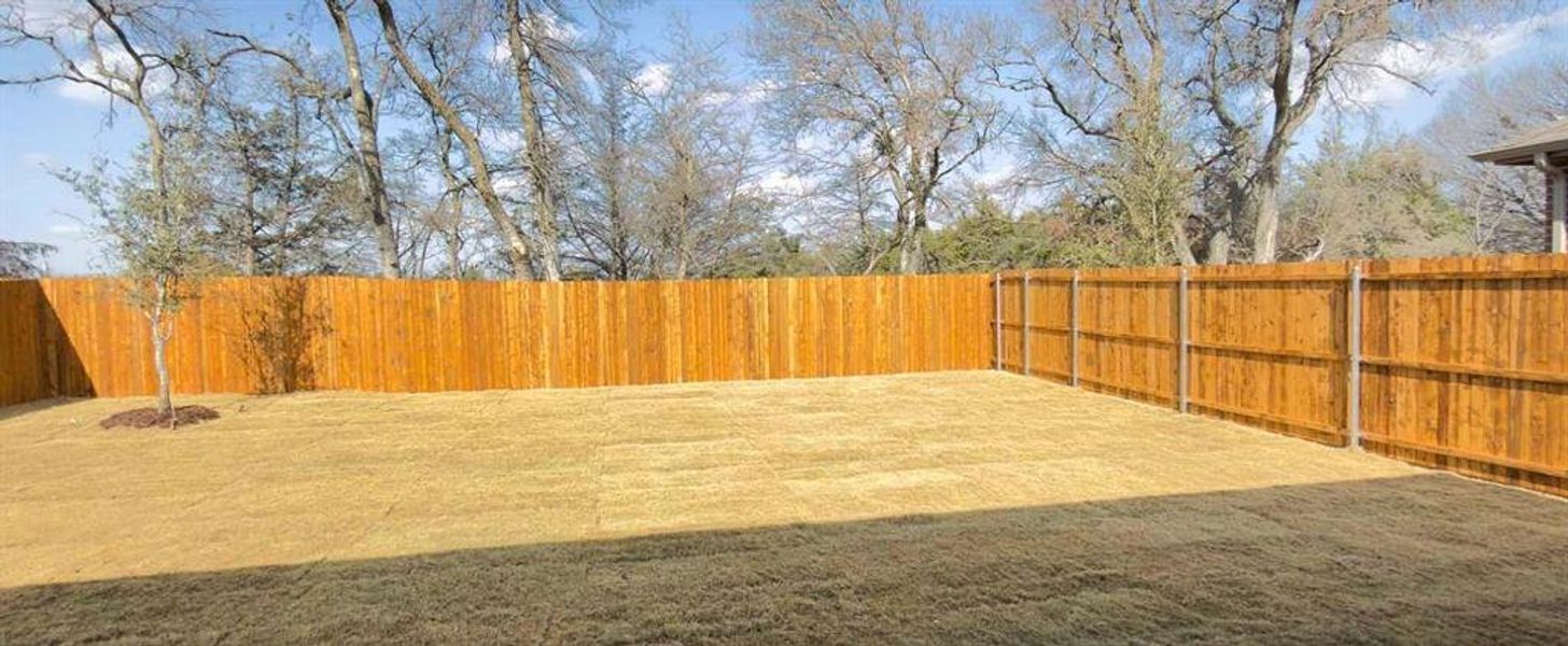 Backyard Construction Progress