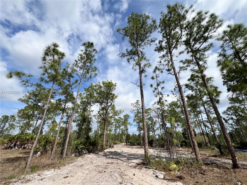 Natural landscape and outdoor views near in Naples (Image 26). Natural landscape and outdoor views near in Naples (Image 26).