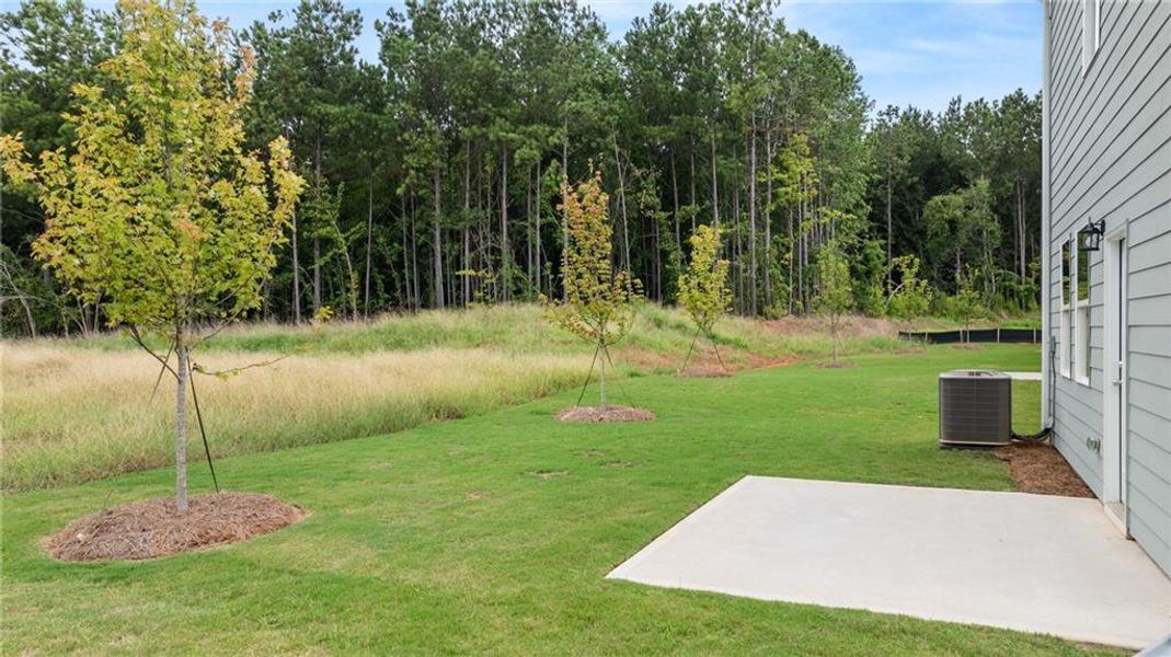 Exterior details and patio area of a home in Walden Park - The Retreat, Jonesboro (Image 4).