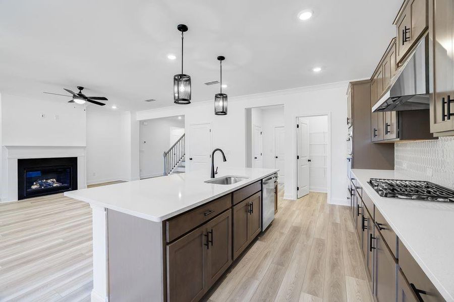 Furnished interior view inside a new home in Oakmead, Buford (Image 6).