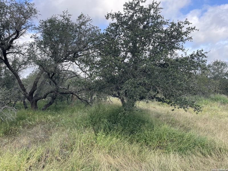 Natural landscape and outdoor views near in Devine (Image 10). Natural landscape and outdoor views near in Devine (Image 10).