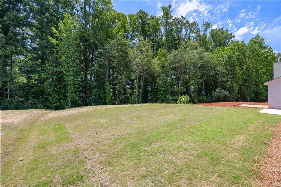 Natural landscape and outdoor views near in Villa Rica (Image 35). Natural landscape and outdoor views near in Villa Rica (Image 35).