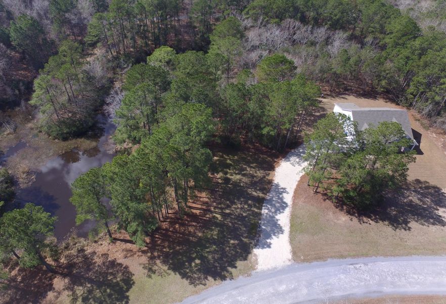 Natural landscape and outdoor views near  in Awendaw (Image 55).
