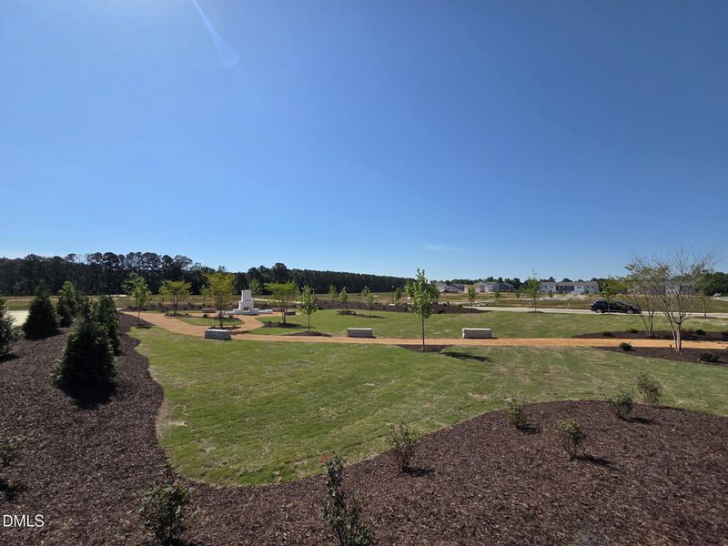 Pocket Park