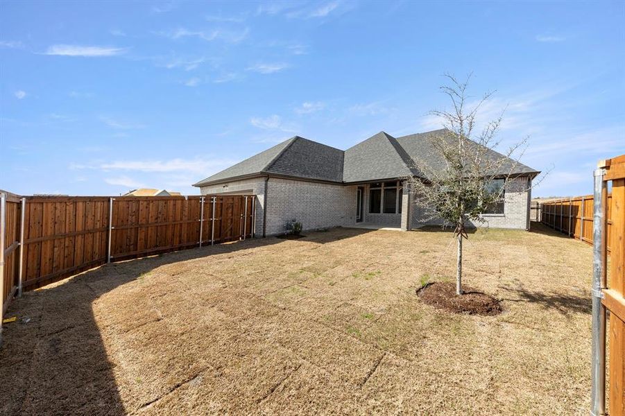 29. 9712 Talia - Back (2)