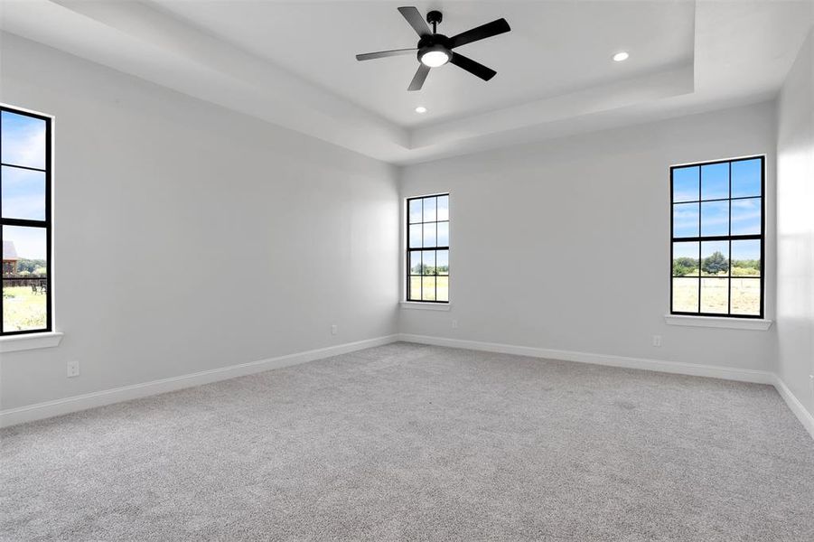 Spare room with carpet and a healthy amount of sunlight