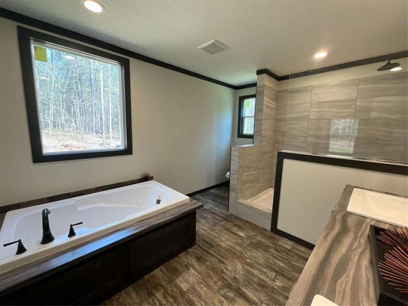 Furnished interior view inside a new home in , Eatonton (Image 4).